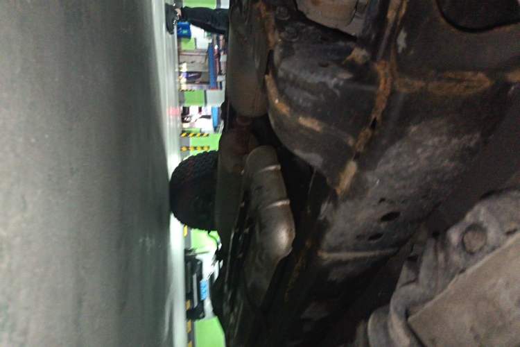 Used Tank 300 2021 Off-Road Edition 2.0T Conqueror Chassis Front Left