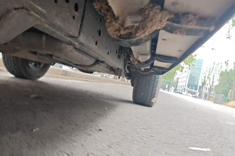 Used Tank 300 2021 Off-Road Edition 2.0T Conqueror Chassis Front Left