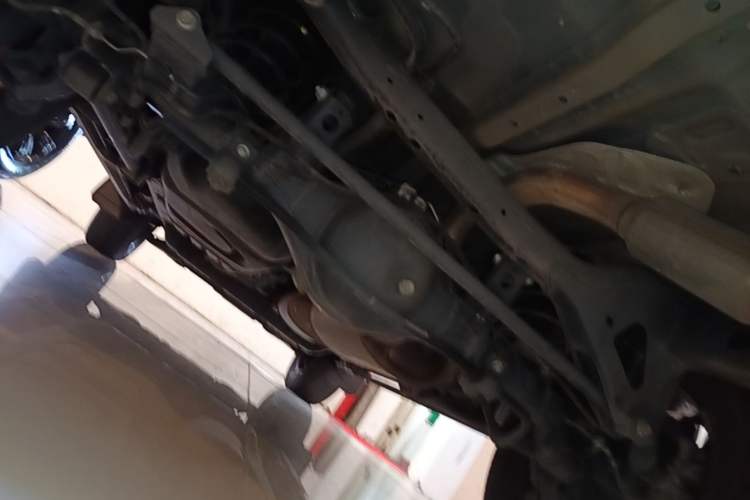 Used Tank 300 2021 City Edition 2.0T—Truly Stylish Chassis Rear