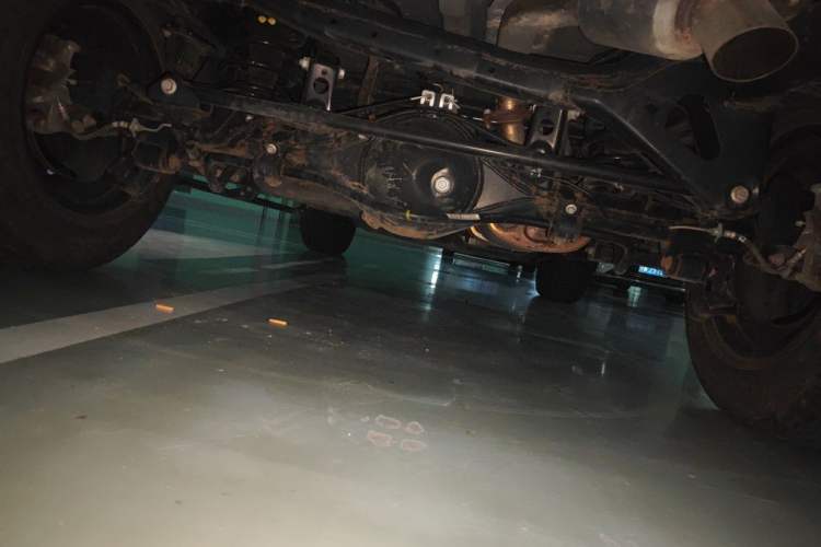 Used Tank 300 2021 City Edition 2.0T—Truly Stylish Chassis Rear