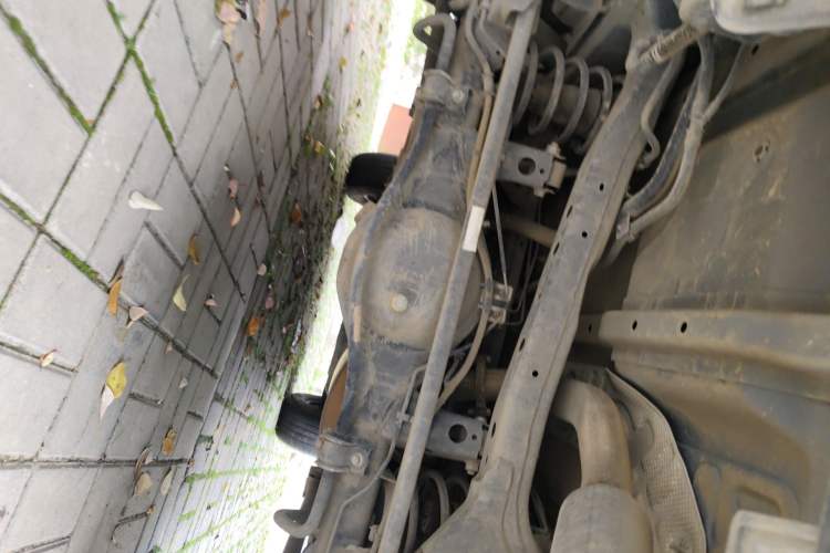 Used Tank 300 2021 Off-Road Edition 2.0T Conqueror Chassis Rear