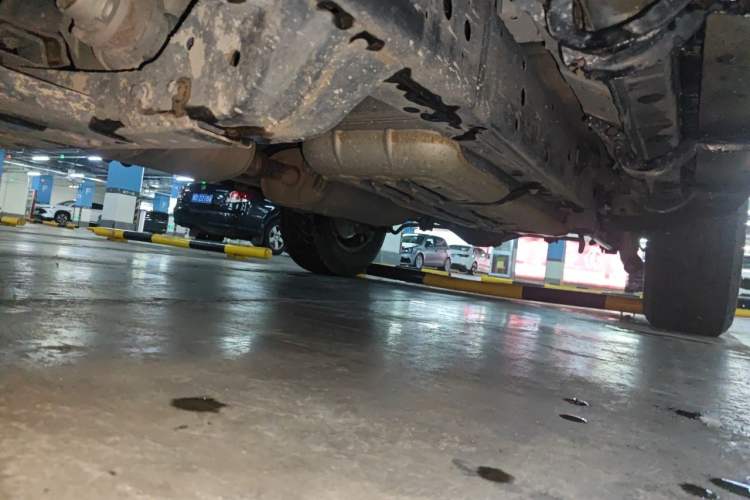 Used Tank 300 2021 Off-Road Edition 2.0T Conqueror Chassis Rear