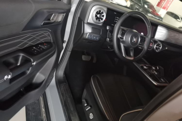 Used Tank 300 2021 City Edition 2.0T—Truly Stylish Driver Seat