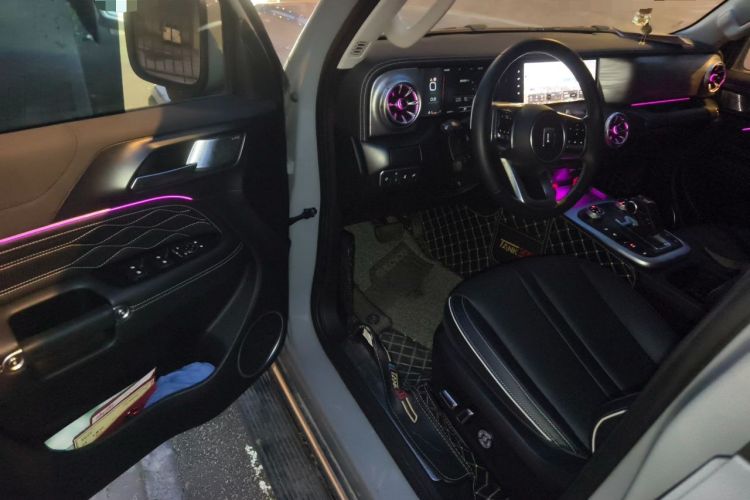 Used Tank 300 2021 City Edition 2.0T—Truly Stylish Driver Seat