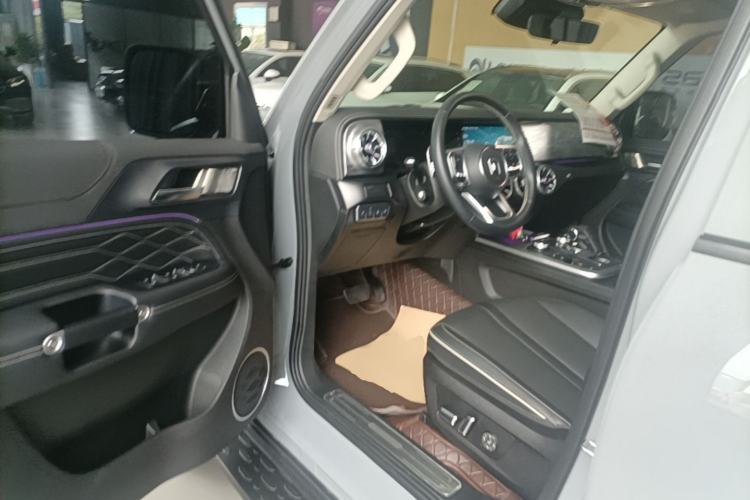 Used Tank 300 2021 Off-Road Edition 2.0T Conqueror Driver Seat