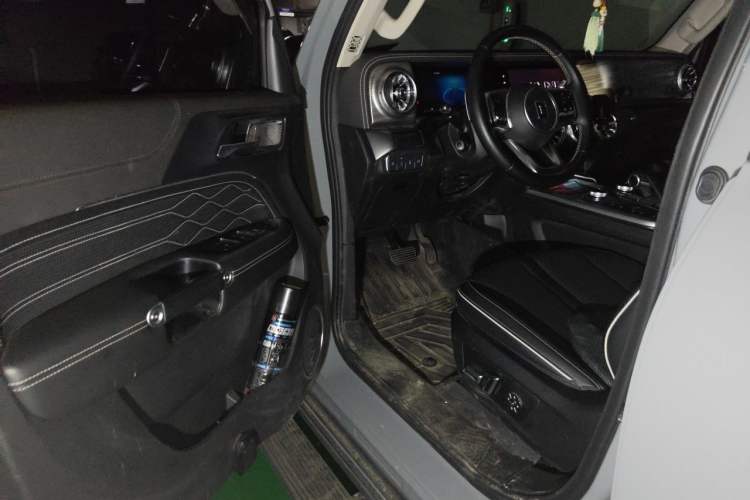 Used Tank 300 2021 City Edition 2.0T—Truly Stylish Driver Seat