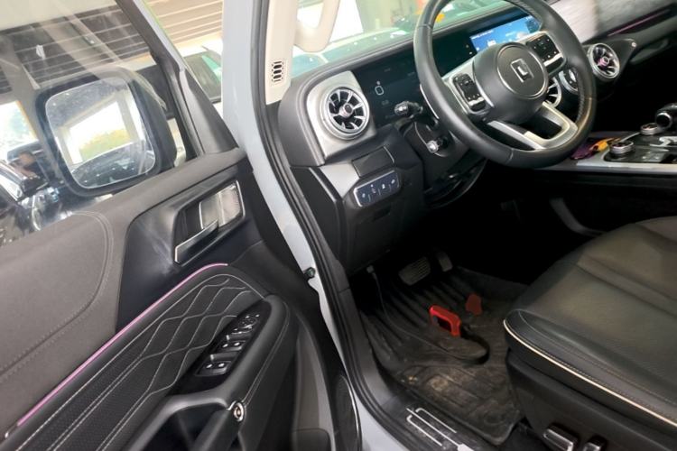Used Tank 300 2021 Off-Road Edition 2.0T Conqueror Driver Seat