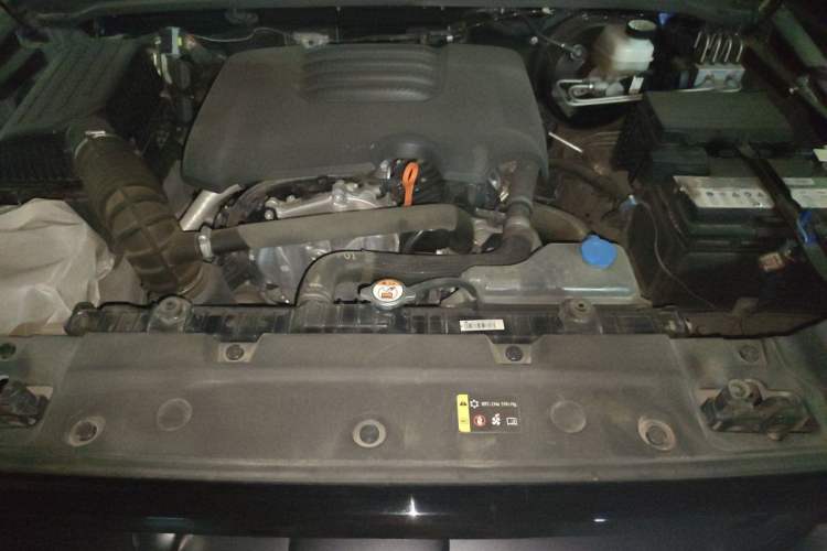 Used Tank 300 2021 Off-Road Edition 2.0T Conqueror Engine Bay