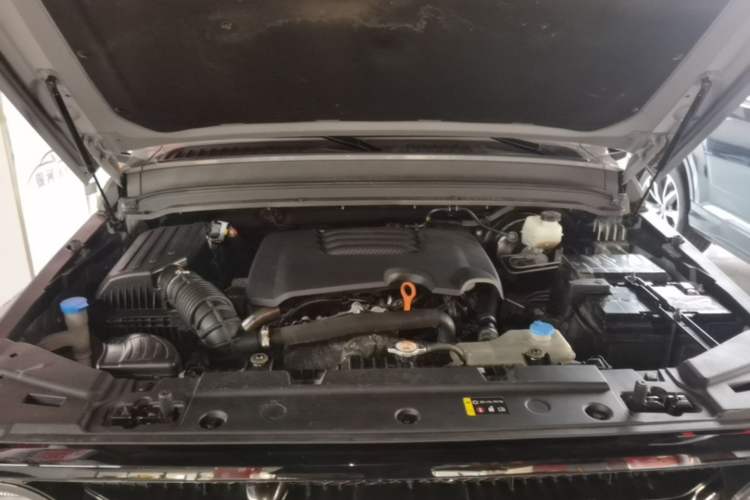 Used Tank 300 2021 City Edition 2.0T—Truly Stylish Engine Bay