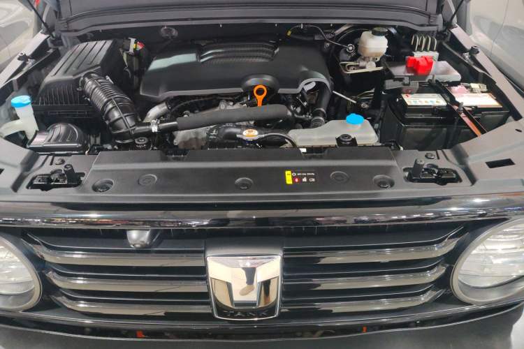 Used Tank 300 2021 Off-Road Edition 2.0T Conqueror Engine Bay