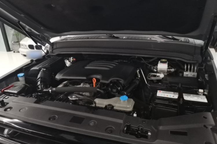Used Tank 300 2021 Off-Road Edition 2.0T Conqueror Engine Bay
