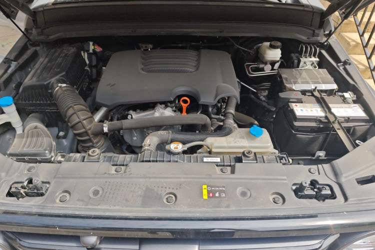 Used Tank 300 2021 Off-Road Edition 2.0T Conqueror Engine Bay