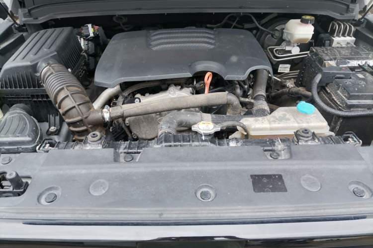 Used Tank 300 2021 Off-Road Edition 2.0T Conqueror Engine Bay