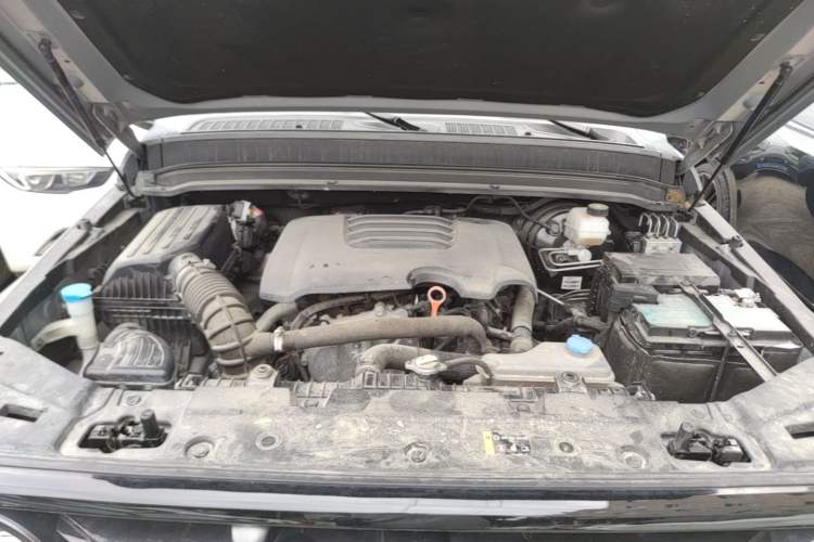 Used Tank 300 2021 Off-Road Edition 2.0T Conqueror Engine Bay