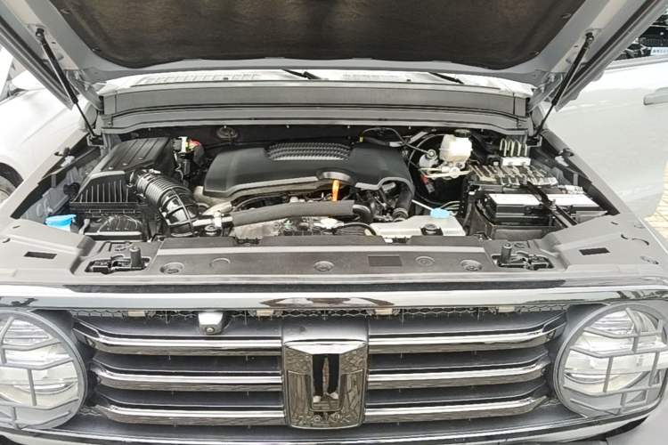Used Tank 300 2021 Off-Road Edition 2.0T Conqueror Engine Bay