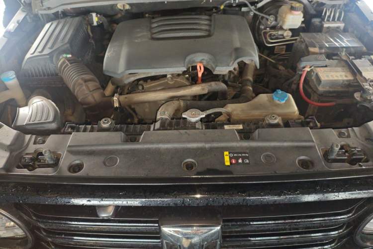 Used Tank 300 2021 Off-Road Edition 2.0T Conqueror Engine Bay