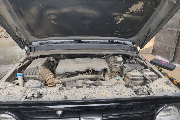 Used Tank 300 2021 Off-Road Edition 2.0T Conqueror Engine Bay