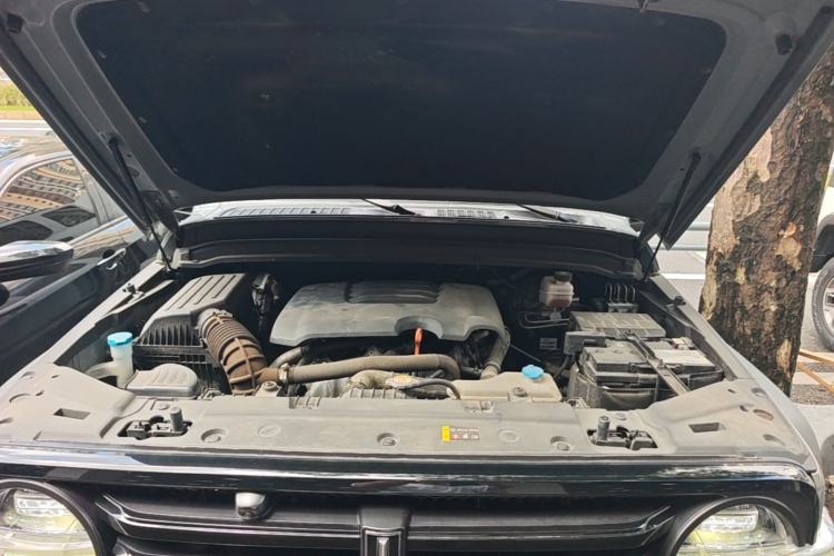 Used Tank 300 2021 Off-Road Edition 2.0T Challenger Engine Bay