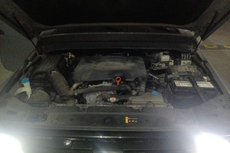 Used Tank 300 2021 Off-Road Edition 2.0T Conqueror Engine Bay