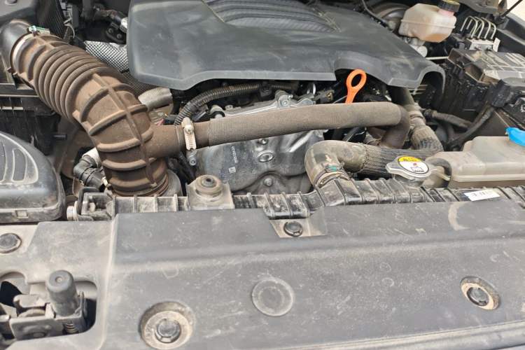 Used Tank 300 2021 Off-Road Edition 2.0T Conqueror Engine Bay