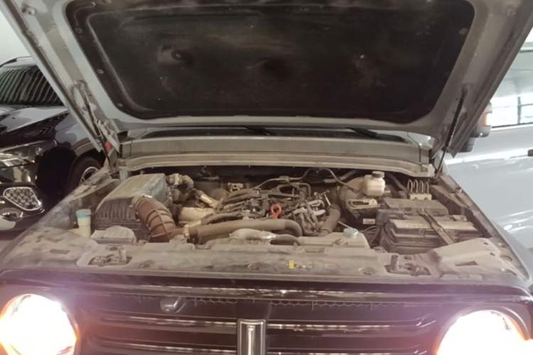 Used Tank 300 2021 Off-Road Edition 2.0T Conqueror Engine Bay