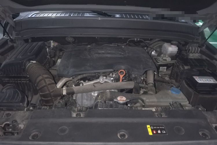 Used Tank 300 2021 Off-Road Edition 2.0T Conqueror Engine Bay