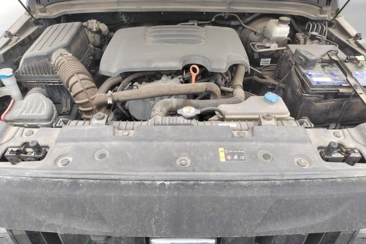 Used Tank 300 2021 Off-Road Edition 2.0T Conqueror Engine Bay