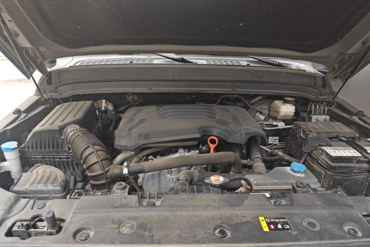 Used Tank 300 2021 Off-Road Edition 2.0T Conqueror Engine Bay