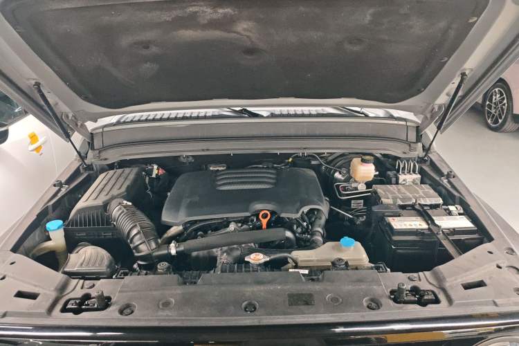 Used Tank 300 2021 Off-Road Edition 2.0T Conqueror Engine Bay