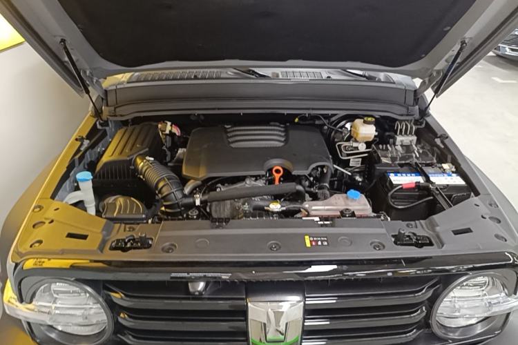 Used Tank 300 2021 Off-Road Edition 2.0T Conqueror Engine Bay