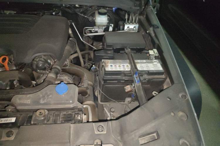 Used Tank 300 2021 Off-Road Edition 2.0T Conqueror Engine Bay Left