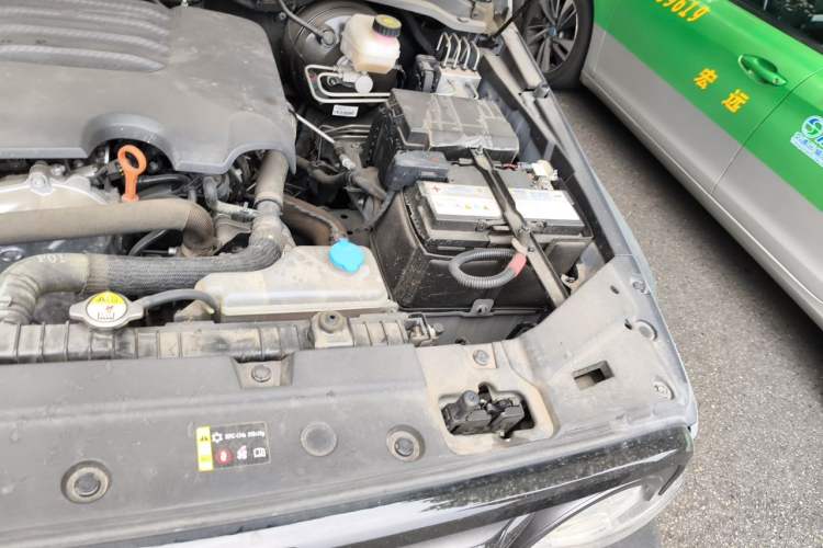 Used Tank 300 2021 Off-Road Edition 2.0T Conqueror Engine Bay Left