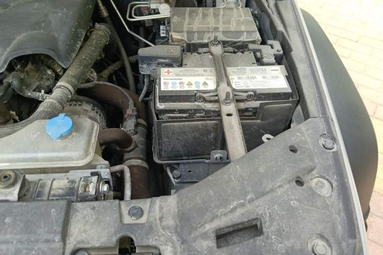 Used Tank 300 2021 Off-Road Edition 2.0T Conqueror Engine Bay Left