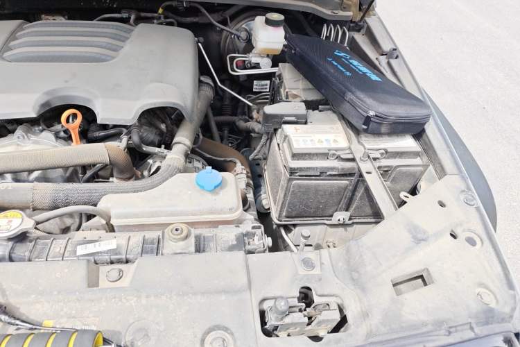 Used Tank 300 2021 Off-Road Edition 2.0T Conqueror Engine Bay Left
