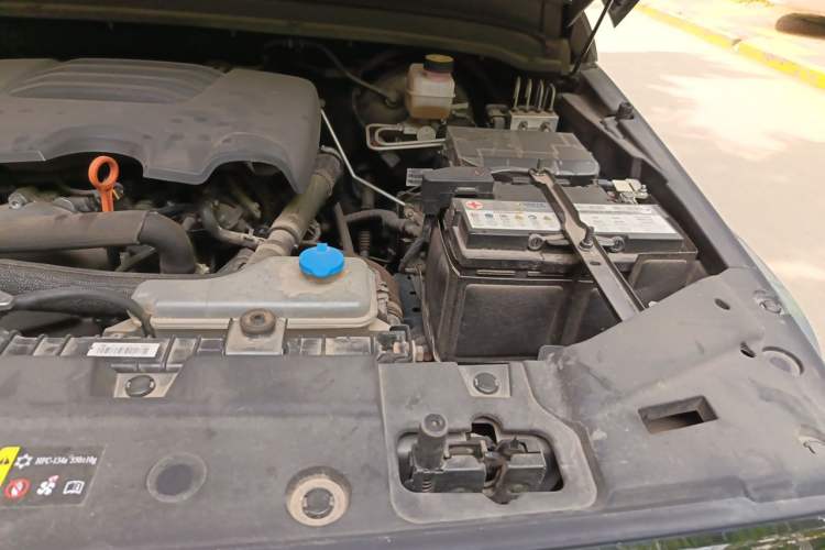 Used Tank 300 2021 City Edition 2.0T—Truly Stylish Engine Bay Left