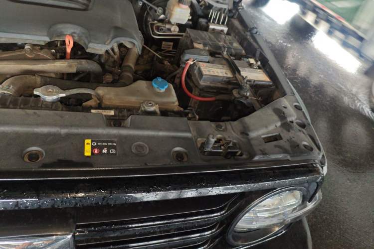 Used Tank 300 2021 Off-Road Edition 2.0T Conqueror Engine Bay Left