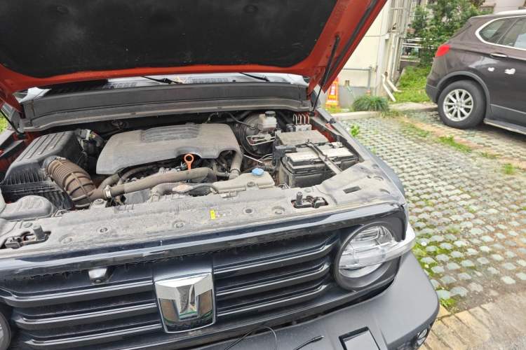 Used Tank 300 2021 Off-Road Edition 2.0T Conqueror Engine Bay Left