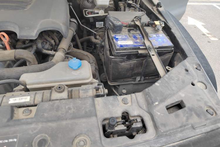 Used Tank 300 2021 Off-Road Edition 2.0T Conqueror Engine Bay Left
