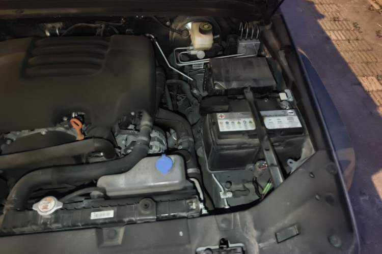 Used Tank 300 2021 City Edition 2.0T—Truly Stylish Engine Bay Left