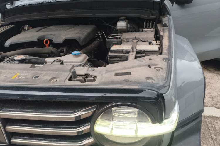 Used Tank 300 2021 City Edition 2.0T—Truly Stylish Engine Bay Left