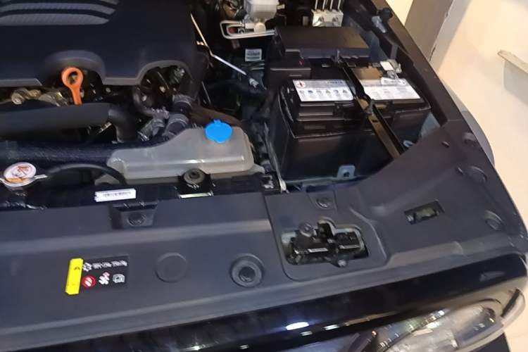 Used Tank 300 2021 City Edition 2.0T—Truly Stylish Engine Bay Left