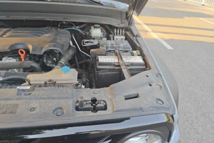 Used Tank 300 2021 Off-Road Edition 2.0T Conqueror Engine Bay Left