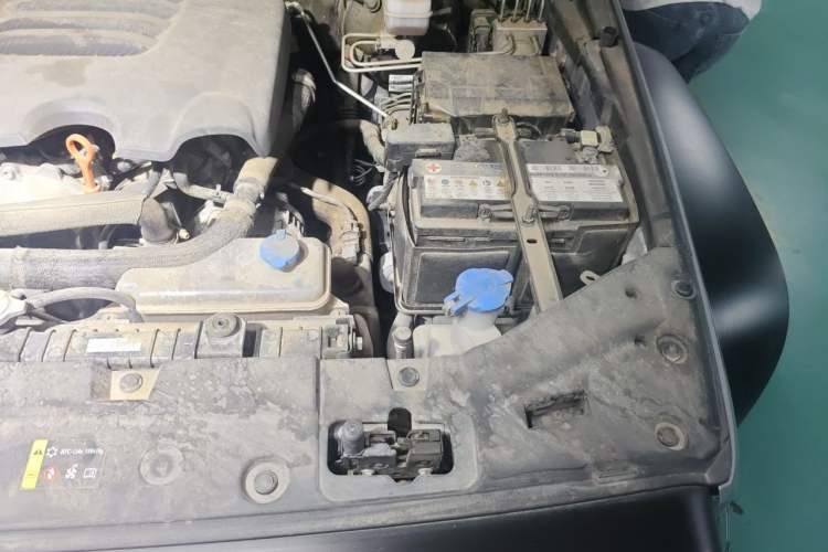 Used Tank 300 2021 2.0T Wind & Forest Iron Rider Engine Bay Left