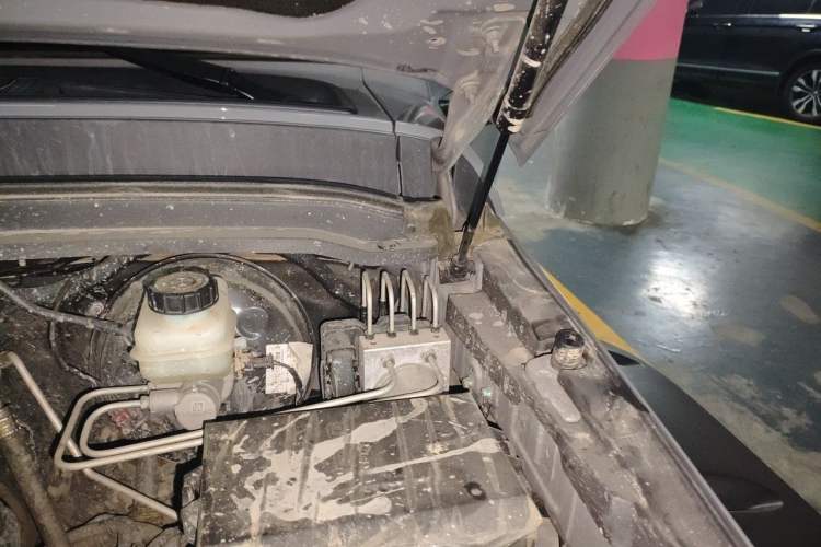 Used Tank 300 2021 2.0T Tank Ranger Engine Bay Left