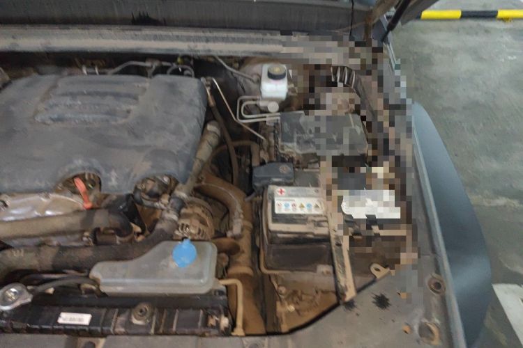 Used Tank 300 2021 Off-Road Edition 2.0T Conqueror Engine Bay Left