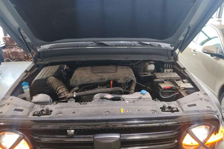Used Tank 300 2021 Off-Road Edition 2.0T Conqueror Engine Bay