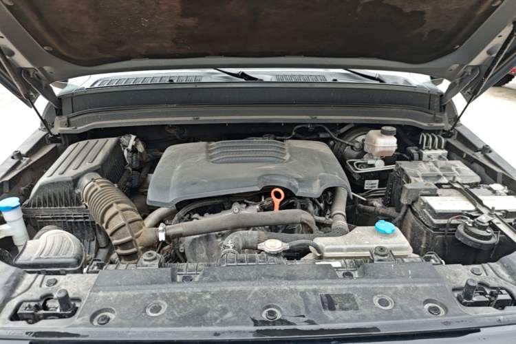 Used Tank 300 2021 Off-Road Edition 2.0T Conqueror Engine Bay