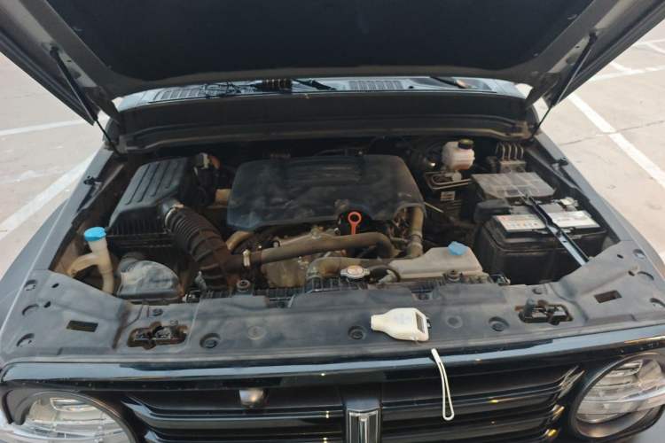 Used Tank 300 2021 Off-Road Edition 2.0T Conqueror Engine Bay