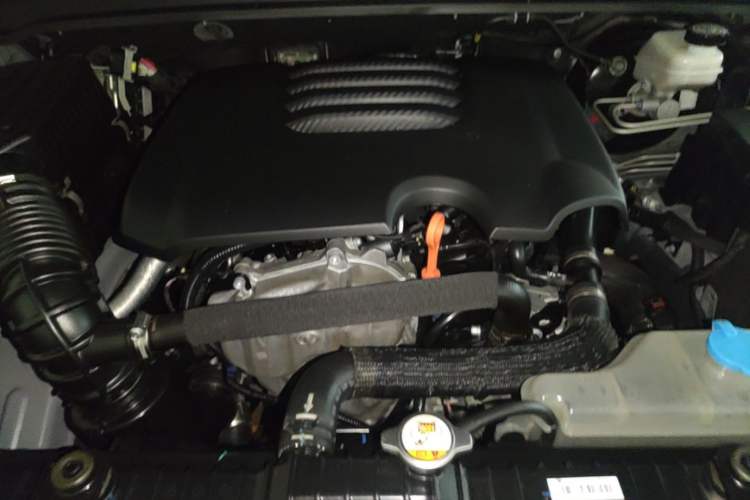 Used Tank 300 2021 Off-Road Edition 2.0T Conqueror Engine Bay