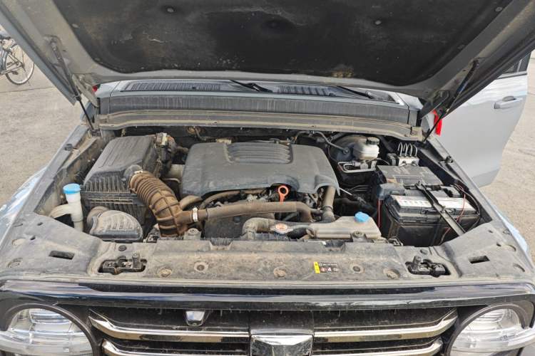 Used Tank 300 2021 City Edition 2.0T—Truly Stylish Engine Bay
